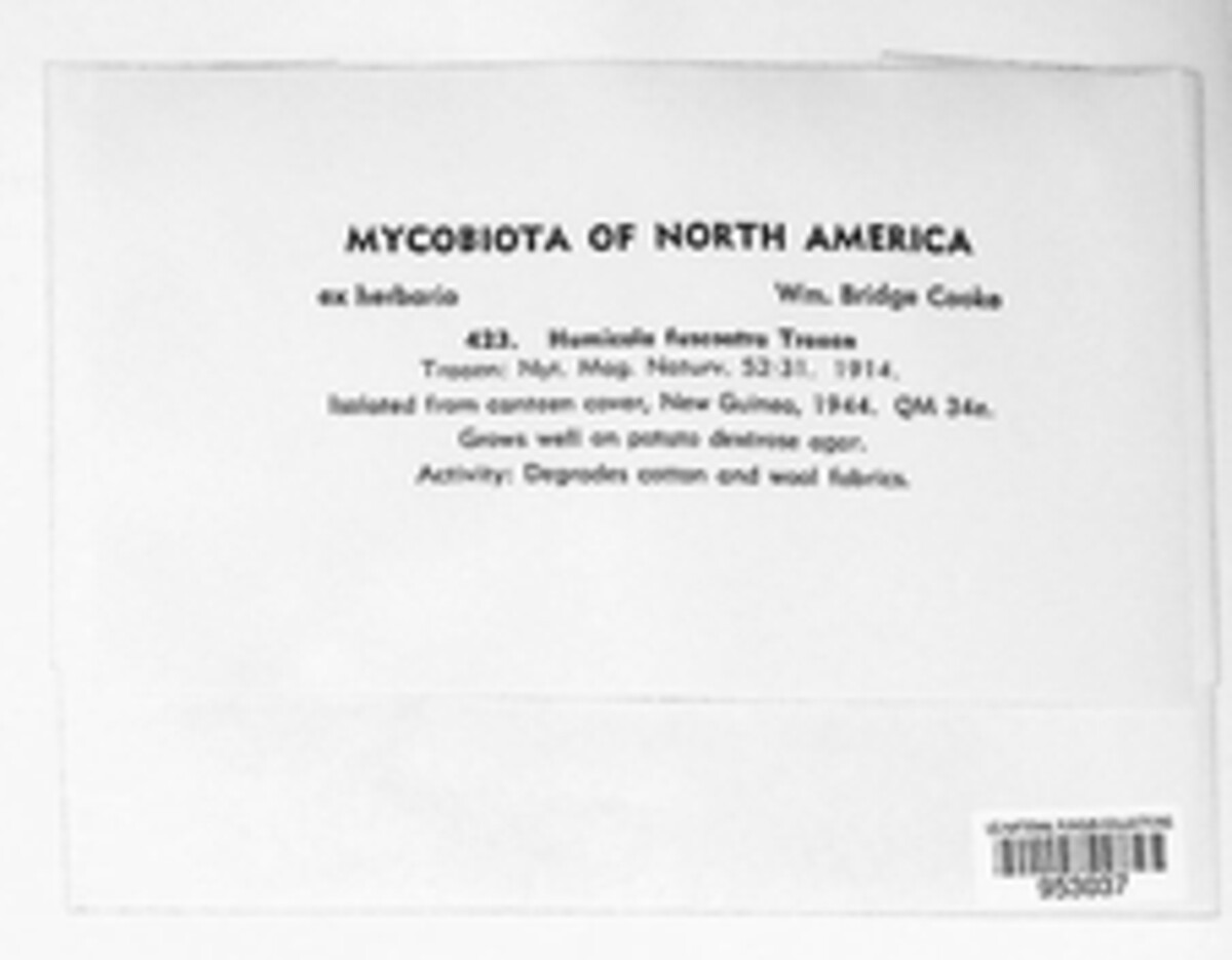 Humicola image